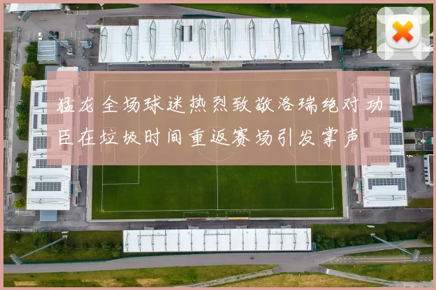 猛龙全场球迷热烈致敬洛瑞绝对功臣在垃圾时间重返赛场引发掌声