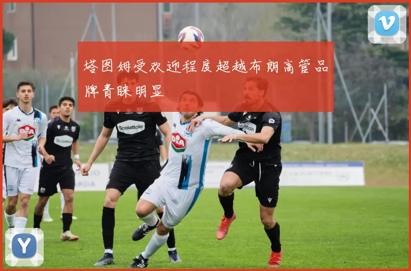 塔图姆受欢迎程度超越布朗高管品牌青睐明显