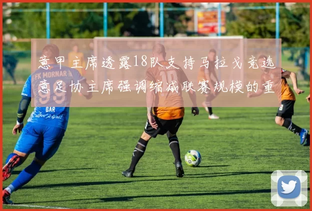 意甲主席透露18队支持马拉戈竞选意足协主席强调缩减联赛规模的重要性